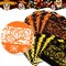 52 Pieces Day of the Dead Decorations Set (Mainly Orange, Black, Yellow)